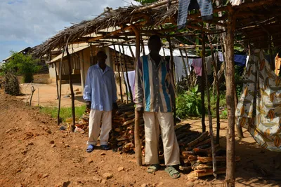 DSC_4717 (Large).JPG